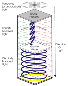 How Circular Polarization Works