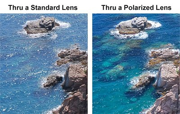 How Polarized Sunglasses Work Electromagnetic Waves