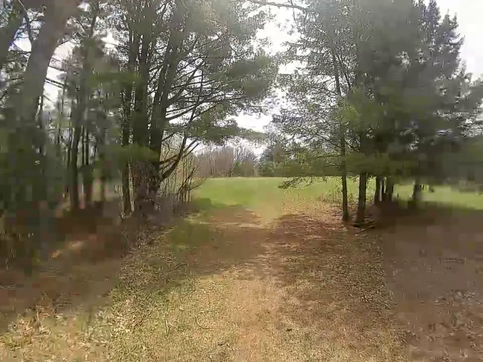 DJI Digital FPV frame capture