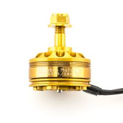 Cobra Golden Champion Motor CP 2205-2600KV, Brushless 