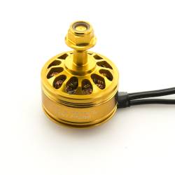Cobra Golden Champion Motor CP 2207-2300KV, Brushless