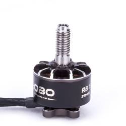 Flywoo ROBO RB 1507 2900KV Motor (1pc)