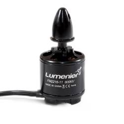 FM2216-11 900kv