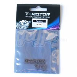 Tiger Motor MT-4006 Series Bearings