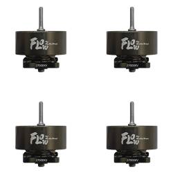 NewBeeDrone Dual Ball Bearing 0802 27000kv Motor (Set of 4)