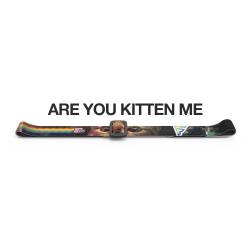 Pretty Fly FPV Goggles Head Strap (Are You Kitten Me)