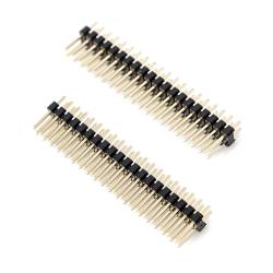 Straight Pin Header 2 Row, 20 Pin, 2.54mm Pitch (2pcs)